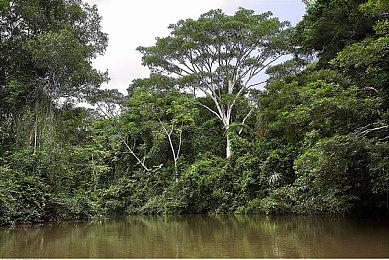 据分析公司估计PS5销量可能达XS X＆S两倍