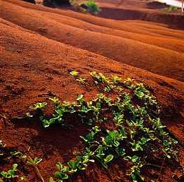 《万里高空出租车》新预告 神似《疯狂出租车》